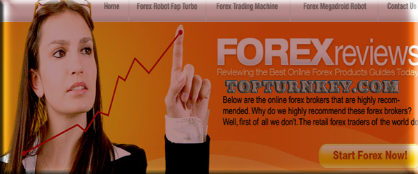 forex-trading-income